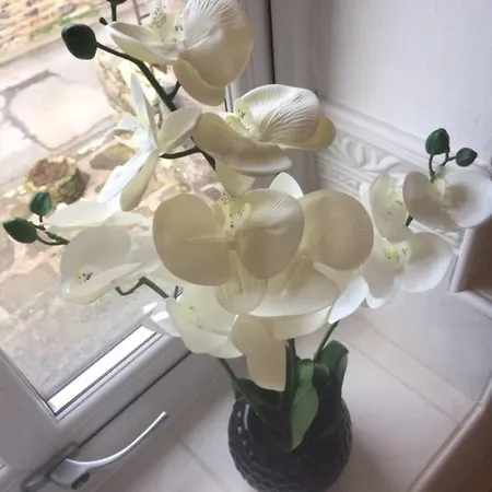 Holiday home Dalesway Sedbergh